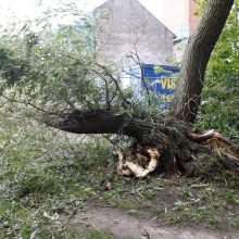 Nevaldoma situacija pajūryje: medžiai virto ant mašinų, vis dar ribojama laivyba