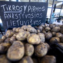 „Benedikto turgus“ atveria lauko prekybos ir pramogų erdvę