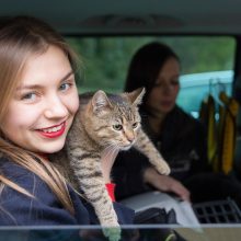 Akcija „UberKittens“ pavyko – naujus namus rado dvi katės