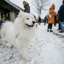 Rumšiškėse žiemą išvarė su trenksmu