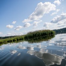 Kauno marių saloje robinzonai valgė kirmėles