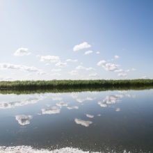 Kauno marių saloje robinzonai valgė kirmėles