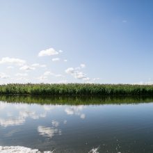 Kauno marių saloje robinzonai valgė kirmėles