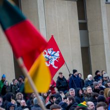 A. Tapinas atskleidė, kokių veiksmų imsis po protesto