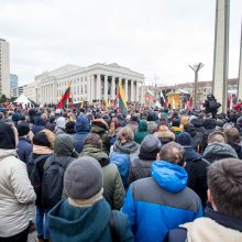 Tūkstantinė minia suplūdo į A. Tapino sušauktą mitingą prie Seimo <span style=color:red;>(vaizdo įrašas)</span>