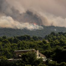 Pražūtingi gaisrai Graikijoje: nelaimės aukų padaugėjo iki 79