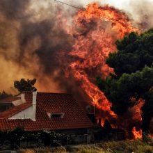 Pražūtingi gaisrai Graikijoje: nelaimės aukų padaugėjo iki 79