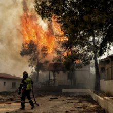 Pražūtingi gaisrai Graikijoje: nelaimės aukų padaugėjo iki 79