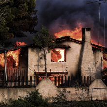 Pražūtingi gaisrai Graikijoje: nelaimės aukų padaugėjo iki 79