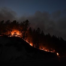 Pražūtingi miškų gaisrai Kalifornijoje: žuvo mažiausiai aštuoni žmonės