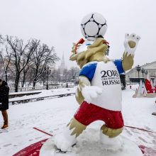 Maskvoje dėl didžiulės pūgos vėluoja skrydžiai, vaikams leista neiti į mokyklas