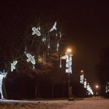 Kauniečius vilioja kalėdinė pasaka Santakos parke