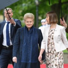 D. Grybauskaitė stiprina santykius su kaimynais estais