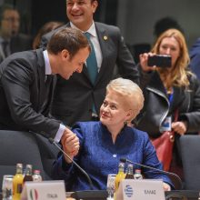 D. Grybauskaitė pasigenda konkretumo siūlant sudaryti euro zonos biudžetą