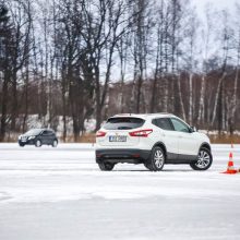 „Ledo karaliumi“ tituluotas R. Gabartas