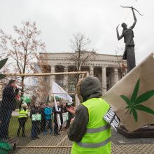 Prie Seimo apie 100 žmonių ragino švelninti bausmes už kanapių turėjimą 