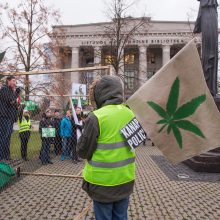 Prie Seimo apie 100 žmonių ragino švelninti bausmes už kanapių turėjimą 