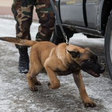 Ramzio netekusiam pasieniečiui – naujas aviganis Marsas