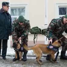 Ramzio netekusiam pasieniečiui – naujas aviganis Marsas