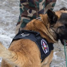 Ramzio netekusiam pasieniečiui – naujas aviganis Marsas