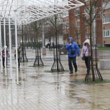 M. Mažvydo alėjos verslininkams – valdžios priekaištų lavina