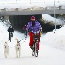 Oulu gyventojai dviračiais važinėja net spaudžiant 40 laipsnių šalčiui.