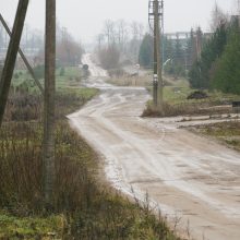 Gyvenimas Kaune – su kaimo patogumais
