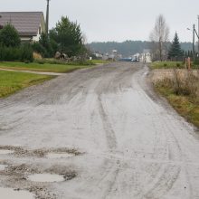 Gyvenimas Kaune – su kaimo patogumais