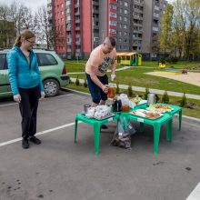 Braškių lysvė dovanų?