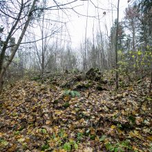 Aukciono sąrašuose – ir dvarai, ir mokyklos