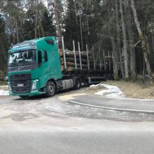 Verslas: kulautuviškiai stebėjo, kaip medieną išveža miškavežis iš Lenkijos.