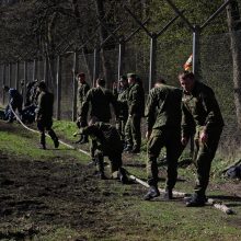 Geriausi kariūnai – iš Klaipėdos