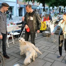 Laisvės alėjoje ir vėl nusidrieks ilgiausias stalas: kas vyks šiemet?