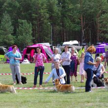 Druskininkai diktuoja vasaros ritmą