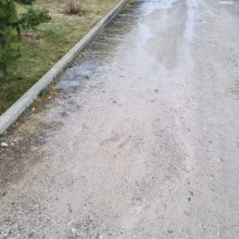 Gyventojai praneša: Romainiuose kanalizacijos vanduo bėga į vietinį upelį