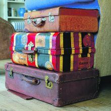Kaip su­si­dė­ti la­ga­mi­ną, kad ke­lio­nė­je jis ne­tap­tų naš­ta?