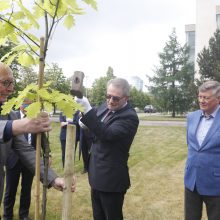 Esamas ir buvę Seimo pirmininkai pasodino šimtmečio ąžuoliuką