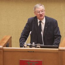 V. Landsbergis: keisti reikia ne įstatymus, o širdį