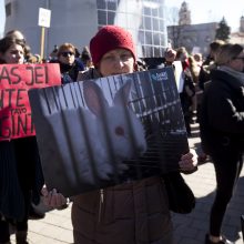 Katedros aikštėje – eitynės už gyvūnus