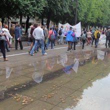 Ar ilgam protestuotojai okupavo Miesto sodą?