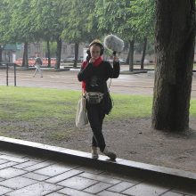 Ar ilgam protestuotojai okupavo Miesto sodą?