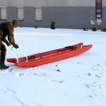 Ugniagesių gelbėjimo rogės