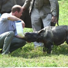 Karališkoji pora per safarį Indijoje džiaugėsi egzotiškomis pramogomis