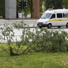 Siaučiantis stiprus vėjas laužė medžius, užverstas vienas automobilis