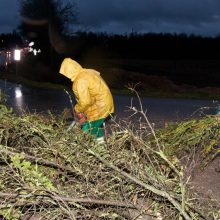 Naktį dėl vėjo ant kelių gali pasitaikyti nulūžusių medžių ar šakų