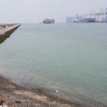Veikla: prieš kelis metus pastatytas Havro išorinis uostas jau priima didelius konteinerinius laivus.