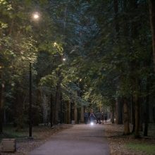 Pagaliau nušvito ilgus metus tamsoje skendėję Vingio parko takai