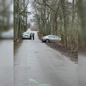 Neringoje – vairuotojo žūtimi pasibaigusi avarija
