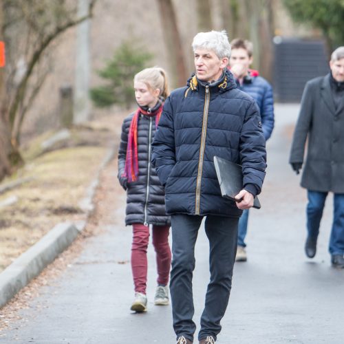 Piketas dėl Kauko laiptų medžių  © Vilmanto Raupelio nuotr.