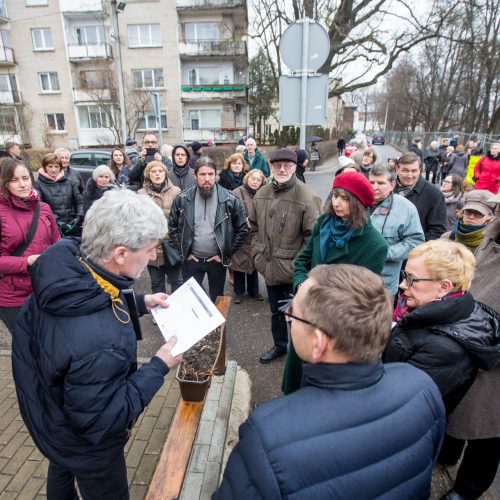 Piketas dėl Kauko laiptų medžių  © Vilmanto Raupelio nuotr.